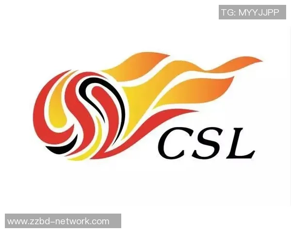 武汉足球队运营模式解析与未来发展展望