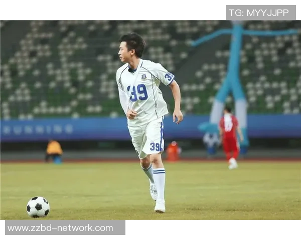 追寻梦想的绿茵传奇我的理想足球明星百人榜