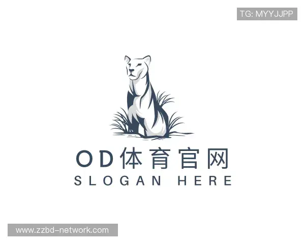 解读OD体育官网