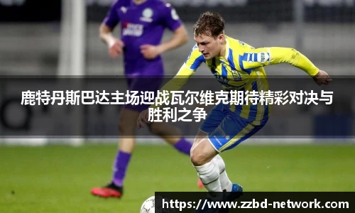 mk体育在线官网