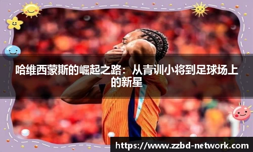 MK体育官网