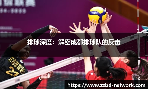 mk体育在线官网